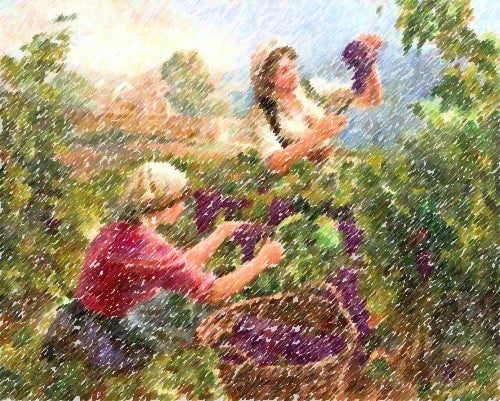 20 Fun Facts about Wine